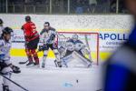 Photo hockey match Chamonix  - Marseille le 30/12/2025