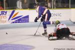 Photo hockey match Clermont-Ferrand - Amnéville le 11/10/2014