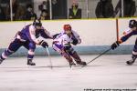 Photo hockey match Clermont-Ferrand - Asnières le 05/03/2016
