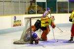 Photo hockey match Clermont-Ferrand - Orléans le 21/01/2012