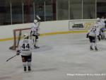 Photo hockey match Colmar - Besançon le 02/11/2013