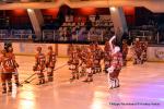 Photo hockey match Courbevoie  - Courchevel-Méribel-Pralognan le 28/11/2015