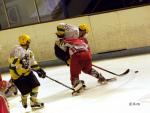 Photo hockey match Courbevoie  - Viry-Châtillon le 31/01/2009