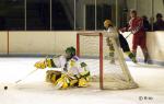 Photo hockey match Courbevoie  - Viry-Châtillon le 31/01/2009