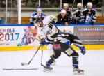 Photo hockey match Courchevel-Méribel-Pralognan - Brest  le 15/03/2017