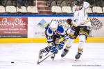 Photo hockey match Courchevel-Méribel-Pralognan - Brest  le 15/03/2017