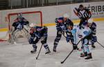 Photo hockey match Courchevel-Méribel-Pralognan - Tours  le 29/03/2014