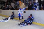Photo hockey match Courchevel-Méribel-Pralognan - Tours  le 29/03/2014