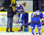 Photo hockey match Dijon  - Briançon  le 15/03/2014