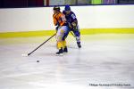 Photo hockey match Dijon II - Châlons-en-Champagne le 03/12/2016