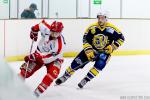 Photo hockey match Evry / Viry - Amnéville le 23/01/2016