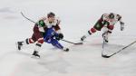 Photo hockey match France - Lettonie le 11/11/2017