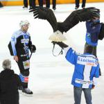 Photo hockey match Gap  - Briançon  le 17/01/2015