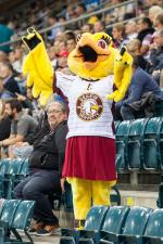 Photo hockey match Genève - Bienne le 14/09/2019