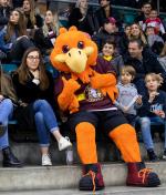 Photo hockey match Genève - Zug le 21/02/2020