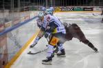 Photo hockey match Genève - Zug le 04/09/2020