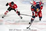 Photo hockey match Grenoble  - Amiens  le 15/03/2025