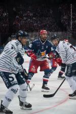 Photo hockey match Grenoble  - Angers  le 16/02/2025