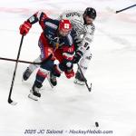 Photo hockey match Grenoble  - Angers  le 05/04/2025