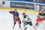 Photo hockey match Grenoble  - Anglet le 06/02/2026