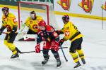 Photo hockey match Grenoble  - Bern le 28/08/2025