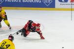 Photo hockey match Grenoble  - Bern le 28/08/2025
