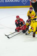 Photo hockey match Grenoble  - Bern le 28/08/2025
