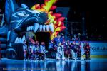 Photo hockey match Grenoble  - Bordeaux le 31/01/2025