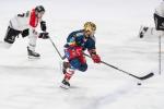 Photo hockey match Grenoble  - Bordeaux le 27/01/2026