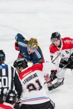 Photo hockey match Grenoble  - Bordeaux le 27/01/2026