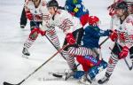 Photo hockey match Grenoble  - Briançon  le 25/11/2022