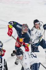 Photo hockey match Grenoble  - Gap  le 22/02/2026