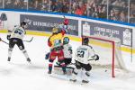 Photo hockey match Grenoble  - Marseille le 09/01/2026