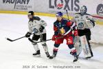 Photo hockey match Grenoble  - Marseille le 09/01/2026