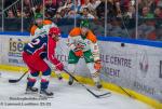 Photo hockey match Grenoble  - Trois-Rivières le 31/08/2023