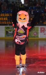 Photo hockey match La Roche-sur-Yon - Amnéville le 20/09/2014