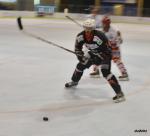 Photo hockey match La Roche-sur-Yon - Amnéville le 20/09/2014