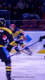 Photo hockey match Lyon - Chambéry le 09/12/2025