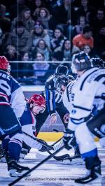 Photo hockey match Lyon - Courchevel-Méribel-Pralognan le 17/01/2026