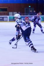 Photo hockey match Lyon - Dunkerque le 10/03/2026