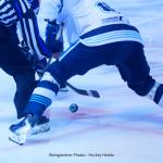 Photo hockey match Lyon - Tours  le 28/02/2026