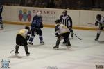 Photo hockey match Marseille - Chambéry le 28/01/2017