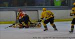 Photo hockey match Meudon - Viry-Châtillon le 27/02/2010