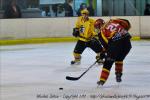 Photo hockey match Meudon - Viry-Châtillon le 27/02/2010