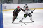 Photo hockey match Mont-Blanc - Brest  le 13/02/2025