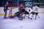 Photo hockey match Mont-Blanc - Chambéry le 09/12/2023