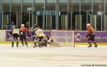 Photo hockey match Montpellier  - Chambéry le 31/03/2018