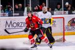 Photo hockey match Morzine-Avoriaz - Chambéry le 13/01/2024