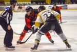 Photo hockey match Nantes - Chambéry le 23/02/2019