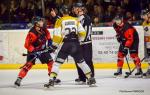 Photo hockey match Nantes - Chambéry le 23/02/2019
